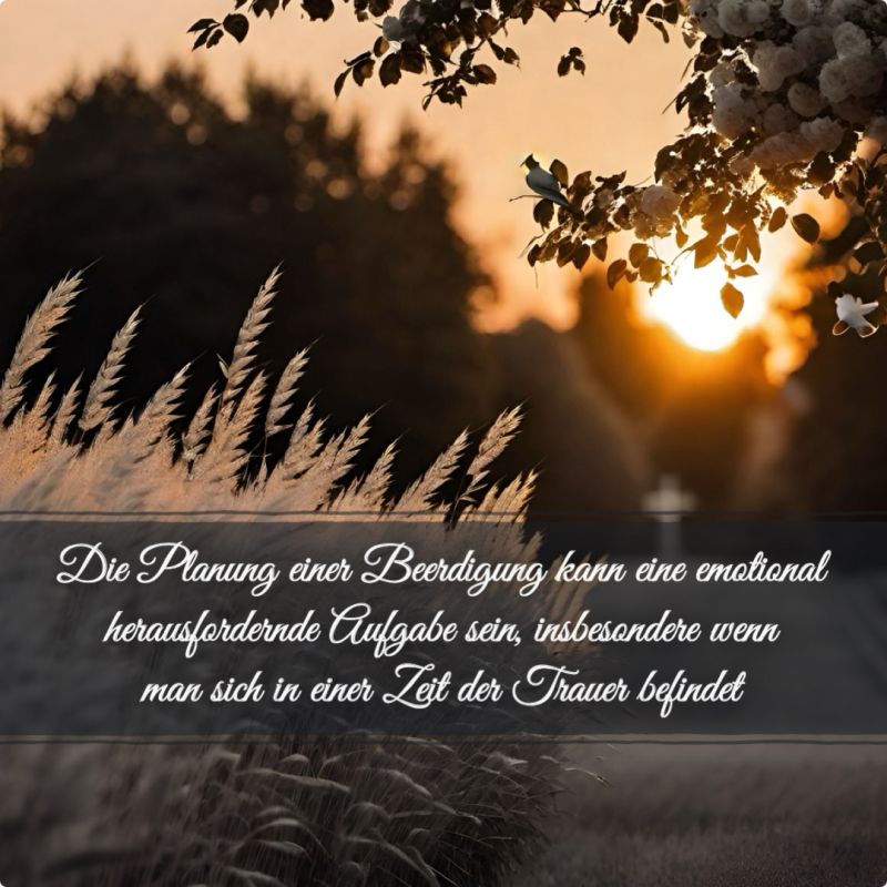 Die Planung einer Beerdigung